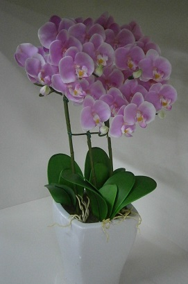 P6250016