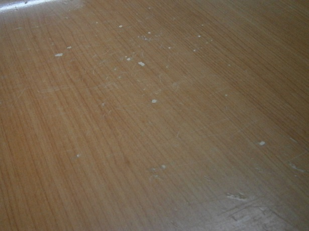 P1050005 P1050005